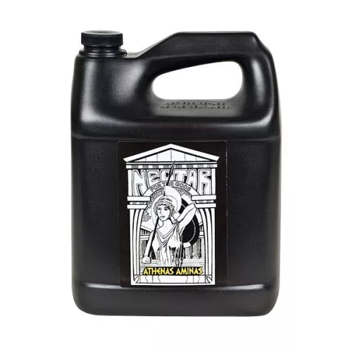 Athena’s Aminas Gallon