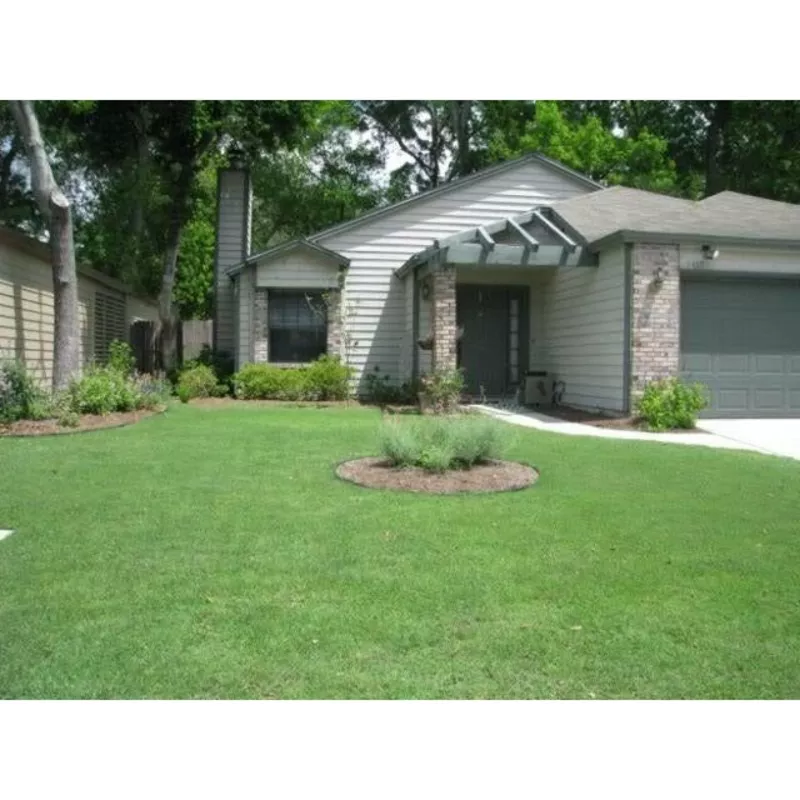 (Bad Harvest 2026) Mohawk Bermuda Grass Seed