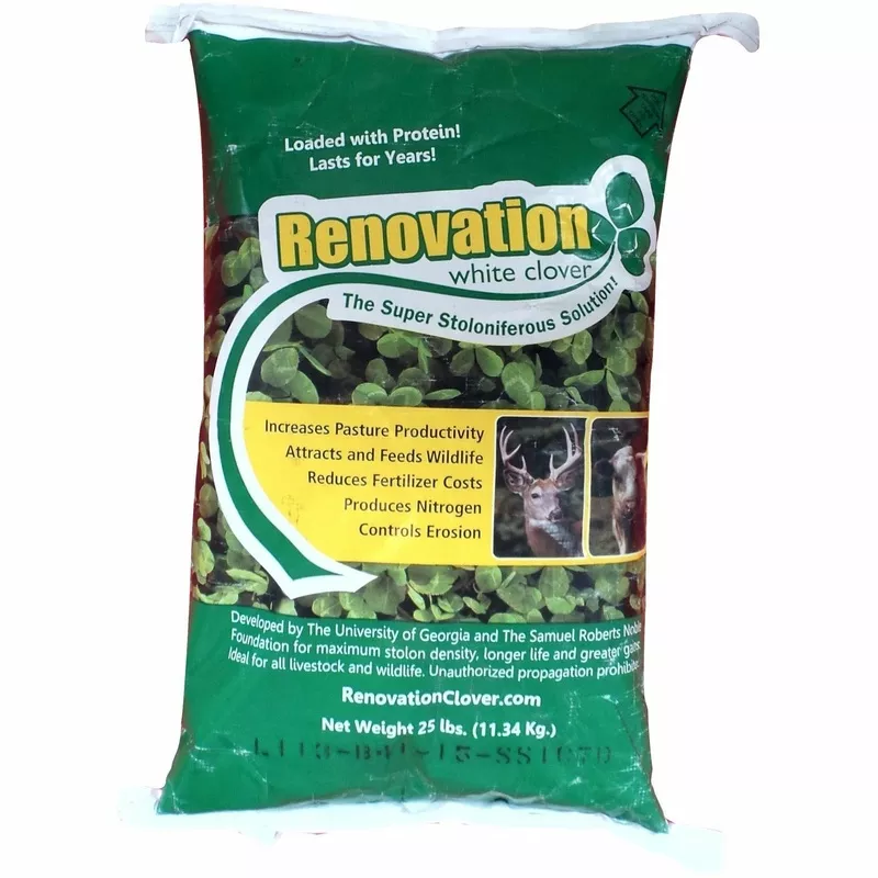 (Bad Harvest 2026) Renovation White Clover Seed