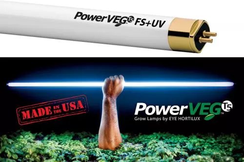 Eye PowerVEG FS-UV 4 ft 54W HO T5
