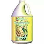 GH Flora Nectar Pineapple Rush Gallon
