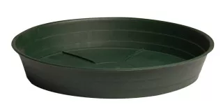 Green Premium Saucer 12″, pack of 10