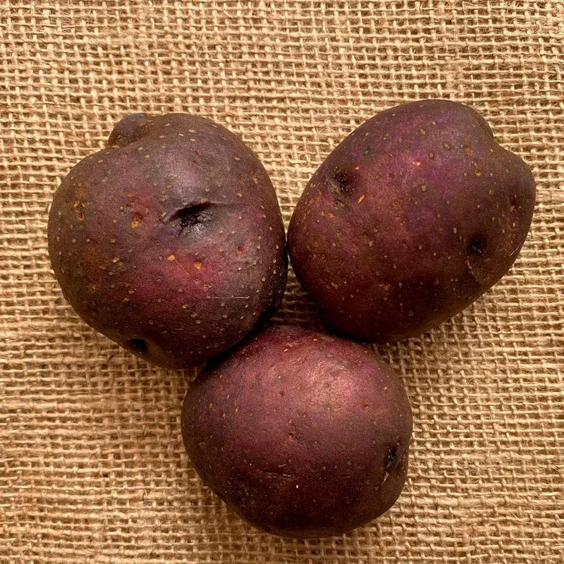‘Harvest Moon’ Potato – 2 Pound Bag