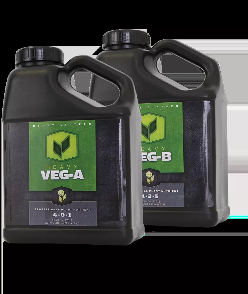 Heavy 16 Veg A 32OZ (1L), 12/cs