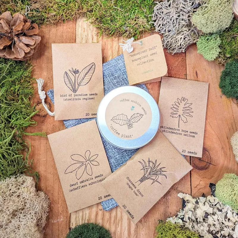 “Houseplant Buff” Houseplant Seed Collection
