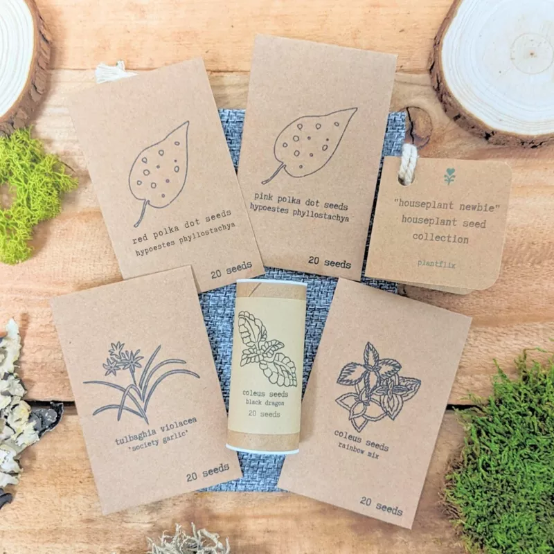 “Houseplant Newbie” Houseplant Seed Collection