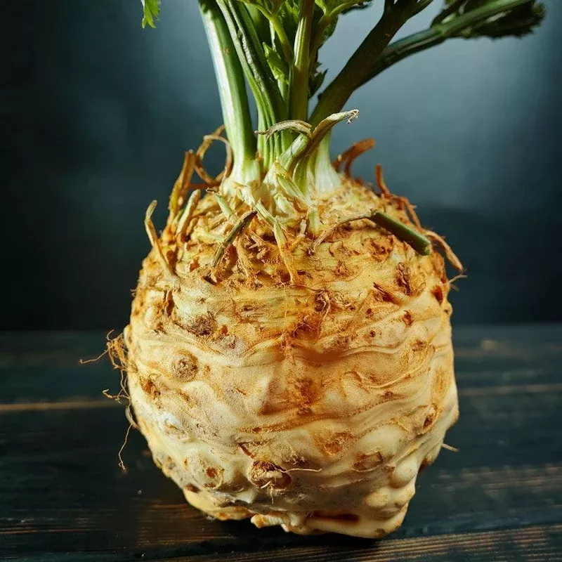 ‘Mars’ Organic Celeriac Seeds