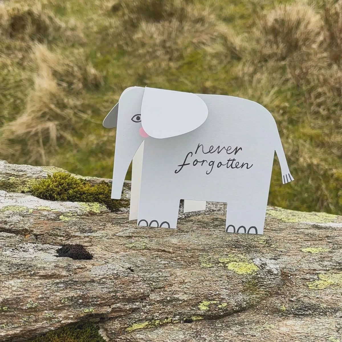 ’Never Forgotten ’ Elephant Standing Luxury Card