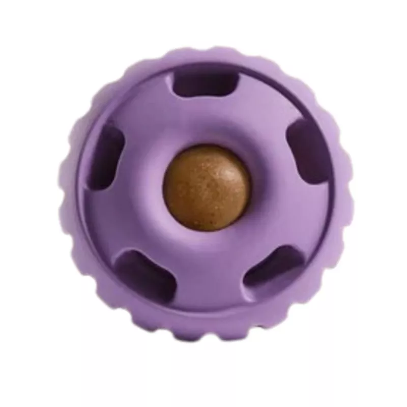 WOOF The Pupsicle Refillable Dog Toy