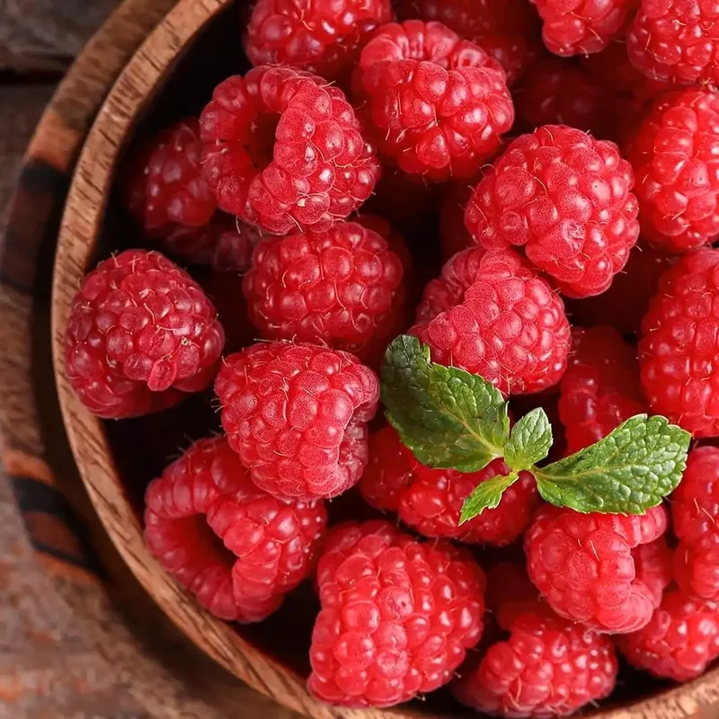 Zmeur aromat de vara – Rubus idaeus ‘Veten’ (Vettel)