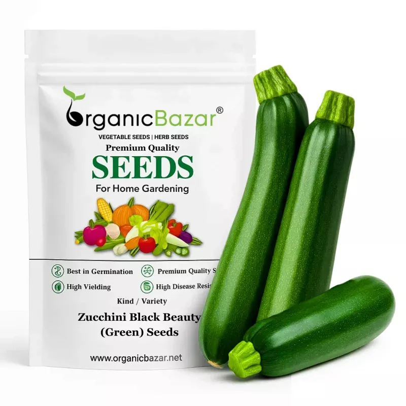 Zucchini Black Beauty (Green) Seeds – 15 Seeds ()