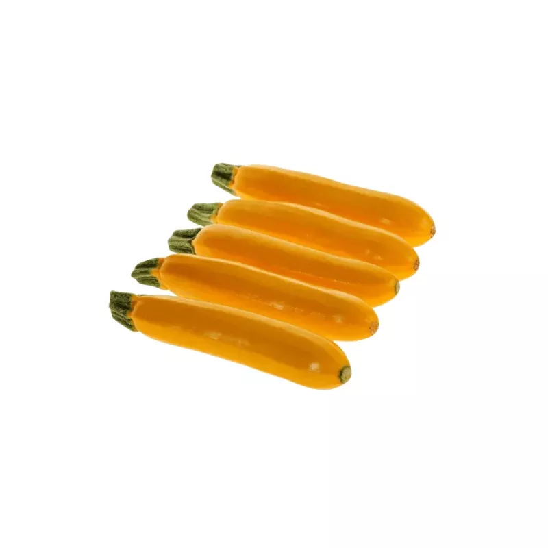 Zucchini Golden Organic Squash Seeds | OSC Seeds