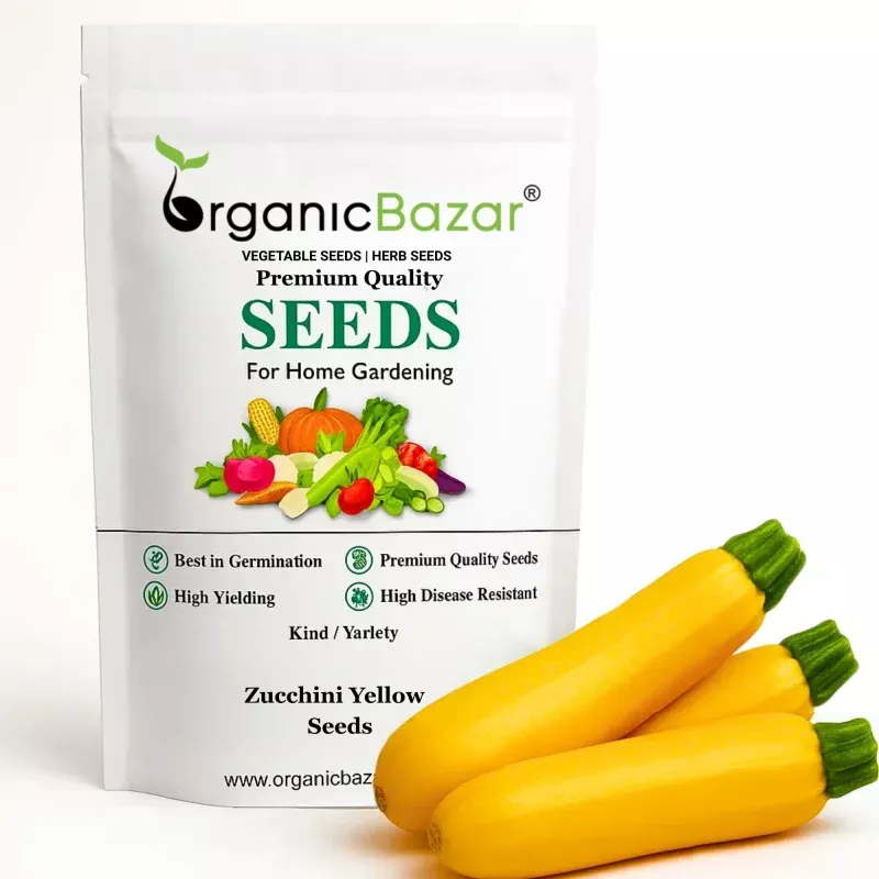 Zucchini Yellow Seeds – 15 Seeds ( )