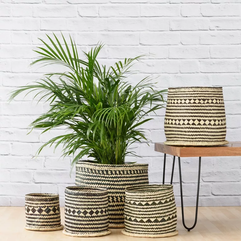 Zuzu Basket
